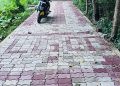 বড়ুয়া পাড়া রোড ,০১নং ওয়ার্ড, রাউজান পৌরসভা