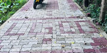 বড়ুয়া পাড়া রোড ,০১নং ওয়ার্ড, রাউজান পৌরসভা